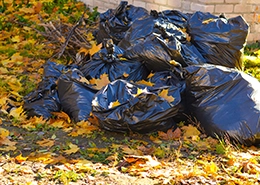 Pile of leaves and black trash bags in a yard.